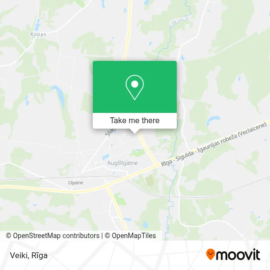 Veiki map