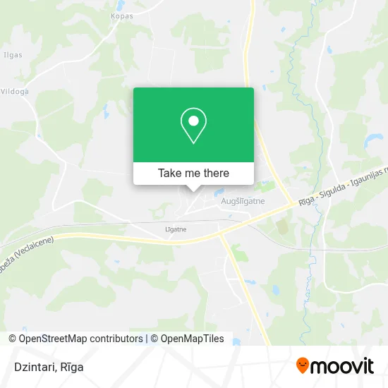 Dzintari map