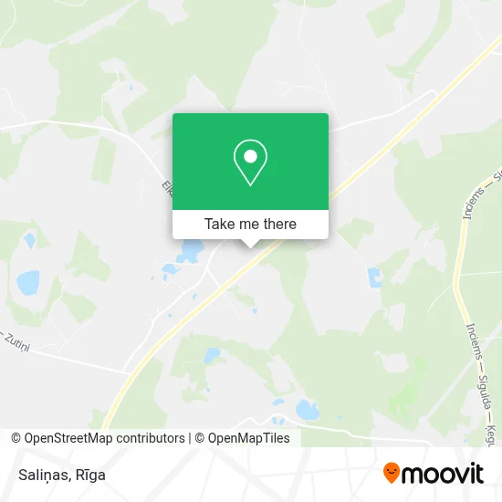 Saliņas map