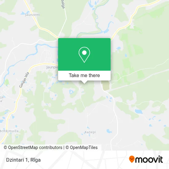 Dzintari 1 map
