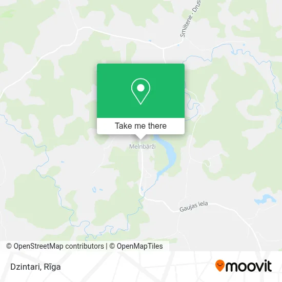Dzintari map