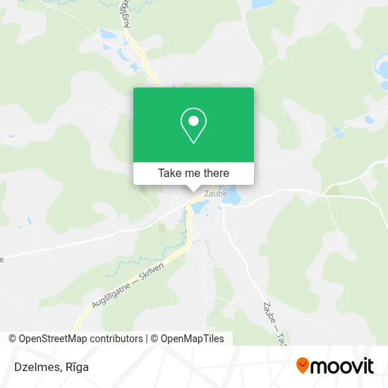 Dzelmes map