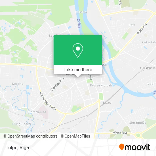 Tulpe map