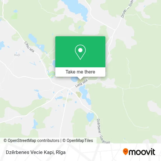 Dzērbenes Vecie Kapi map