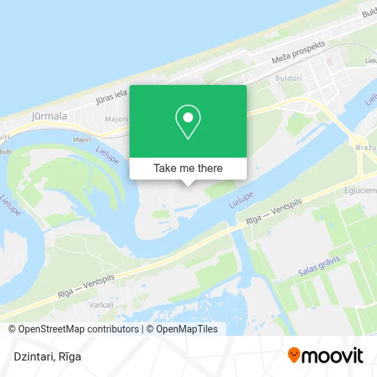 Dzintari map