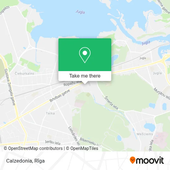 Calzedonia map