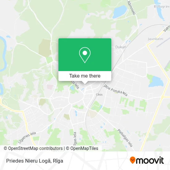 Priedes Nieru Logā map