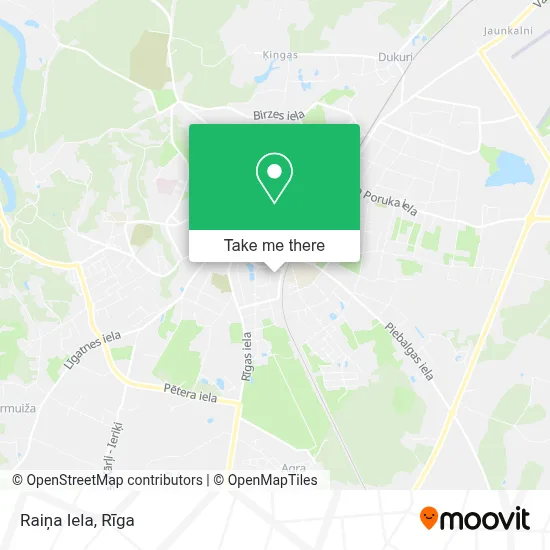 Raiņa Iela map