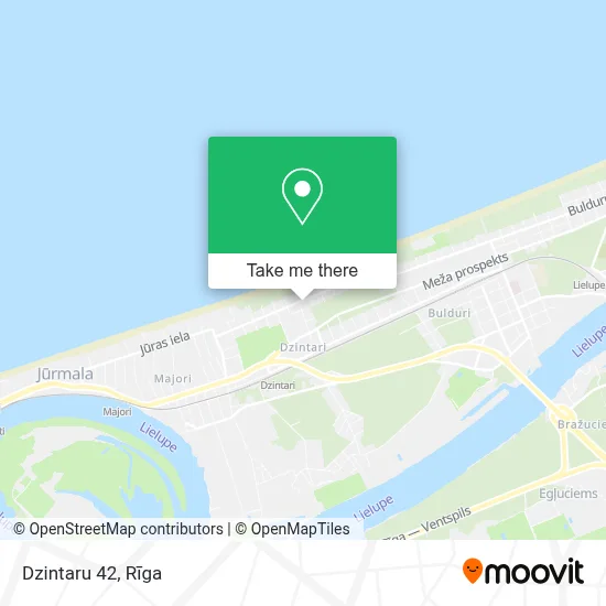 Dzintaru 42 map