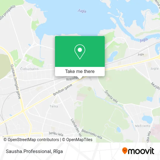 Sausha.Professional map