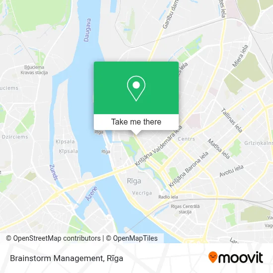 Brainstorm Management map