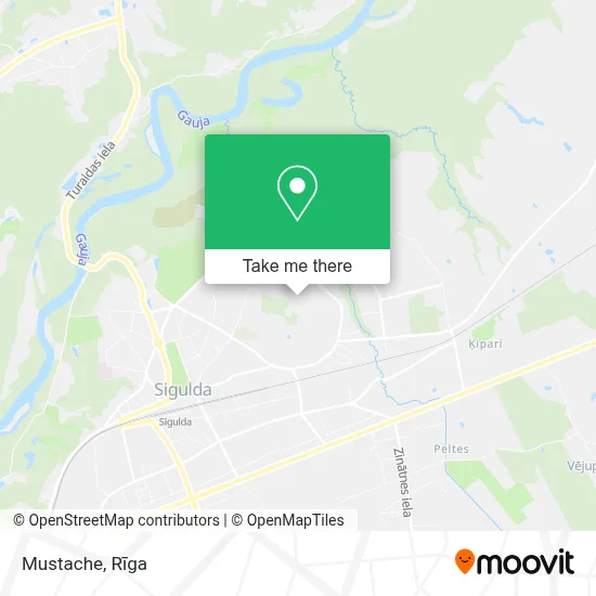 Mustache map