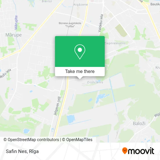 Safin Nes map