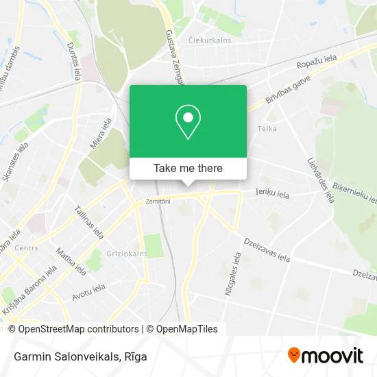 Garmin Salonveikals map