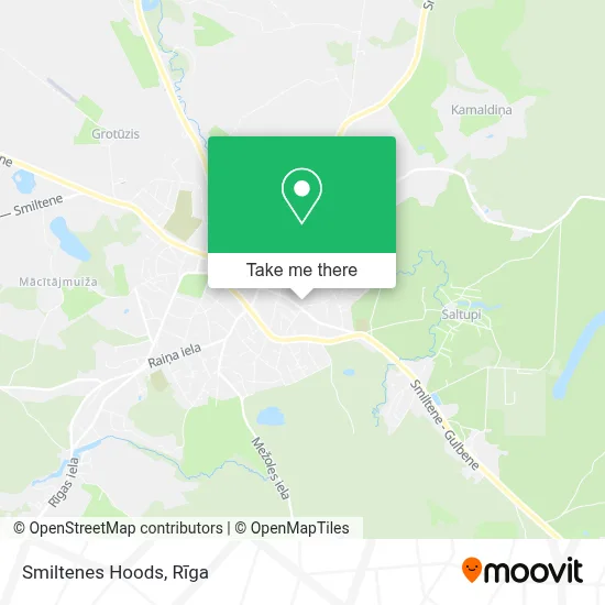 Smiltenes Hoods map