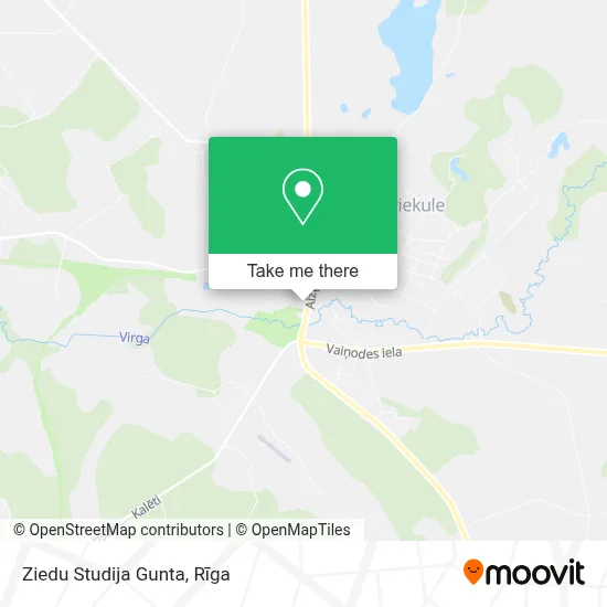 Ziedu Studija Gunta map
