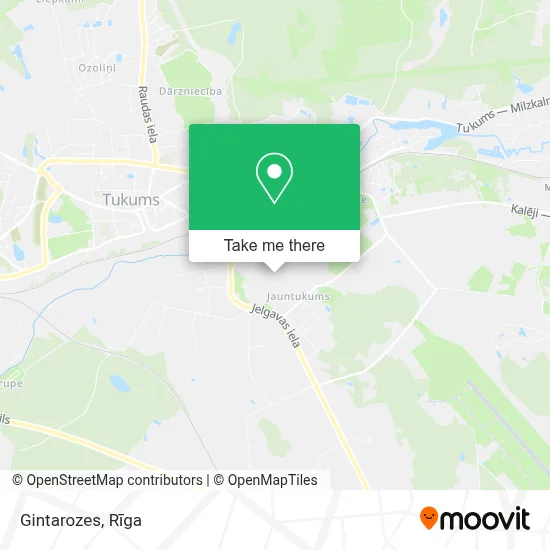 Gintarozes map