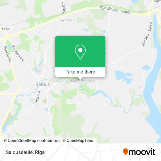 Saldussaule map