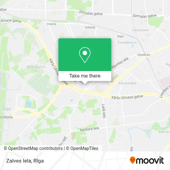 Zalves Iela map
