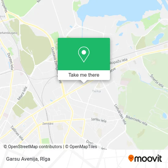 Garsu Avenija map