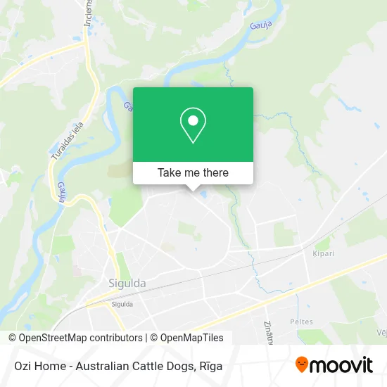 Ozi Home - Australian Cattle Dogs map