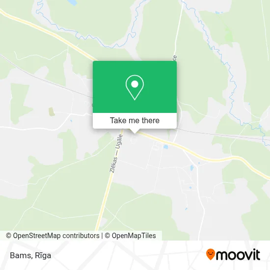 Bams map