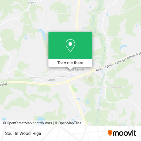 Soul In Wood map