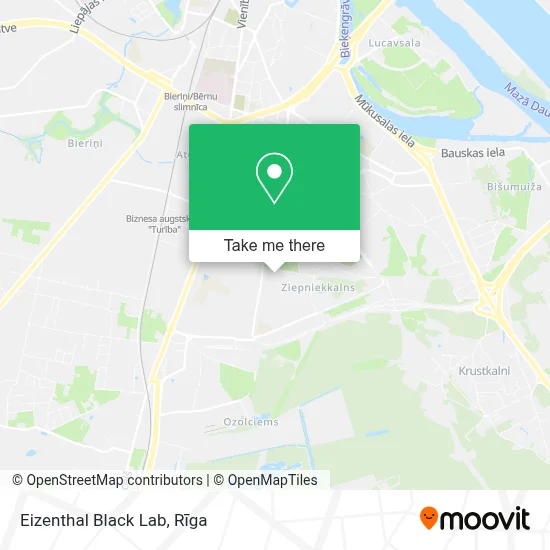 Eizenthal Black Lab map