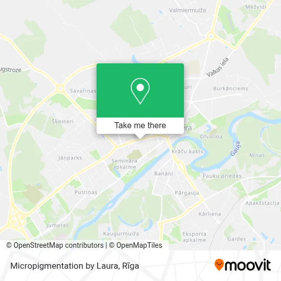 Micropigmentation by Laura map
