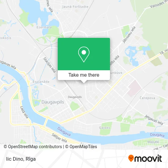Iic Dino map