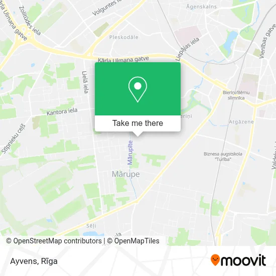 Ayvens map