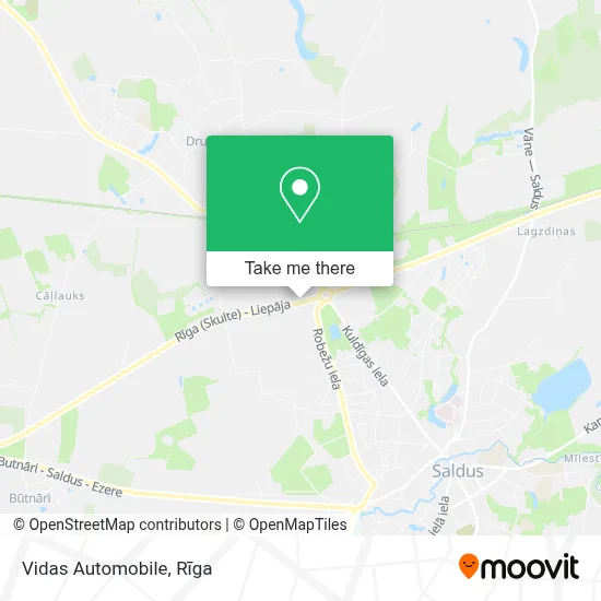 Vidas Automobile map