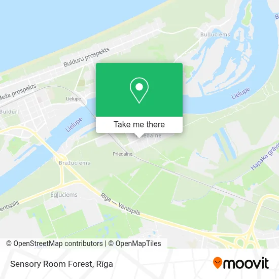 Sensory Room Forest map