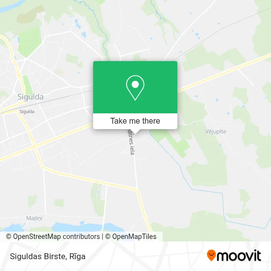 Siguldas Birste map