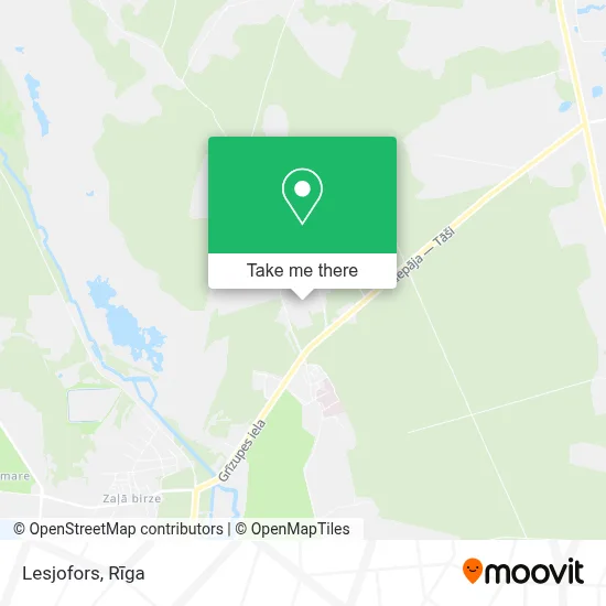 Lesjofors map