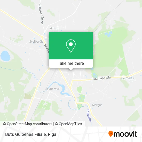 Buts Gulbenes Filiale map