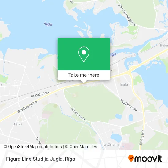 Figura Line Studija Jugla map