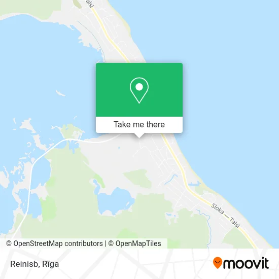 Reinisb map