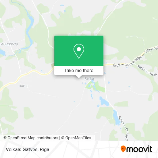 Veikals Gatves map