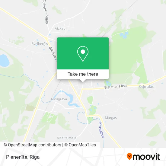 Pienenīte map
