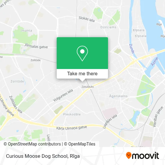 Curious Moose Dog School map