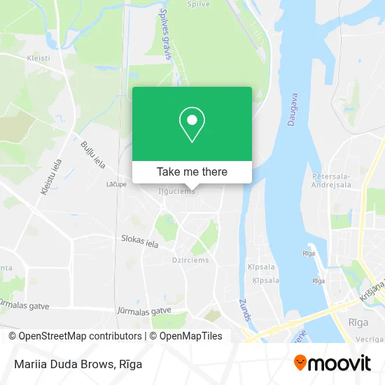 Mariia Duda Brows map