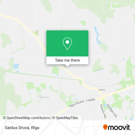 Saldus Druva map