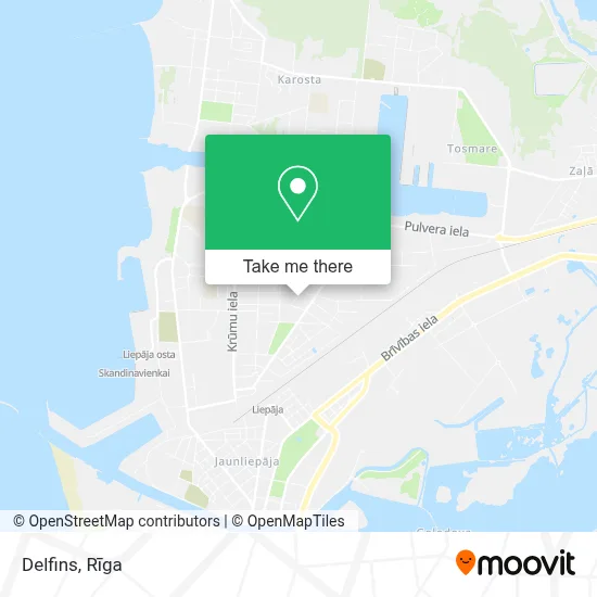 Delfins map