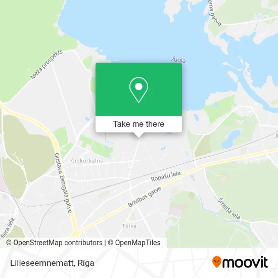 Lilleseemnematt map