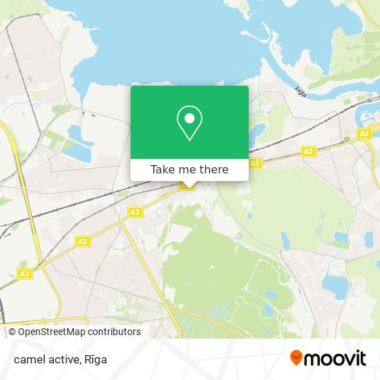 camel active map