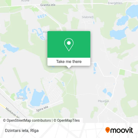 Dzintars iela map
