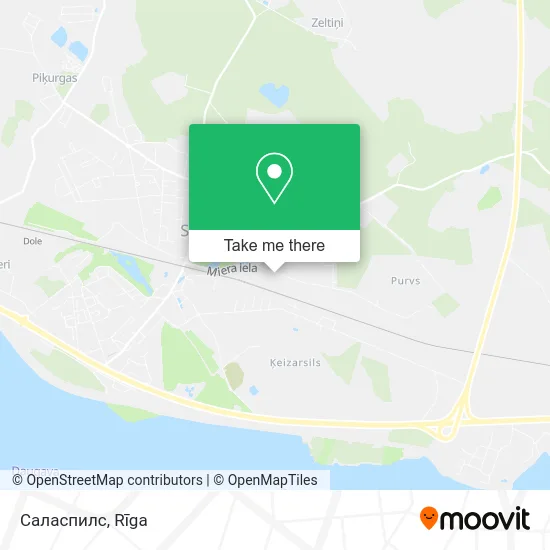 Карта Саласпилс