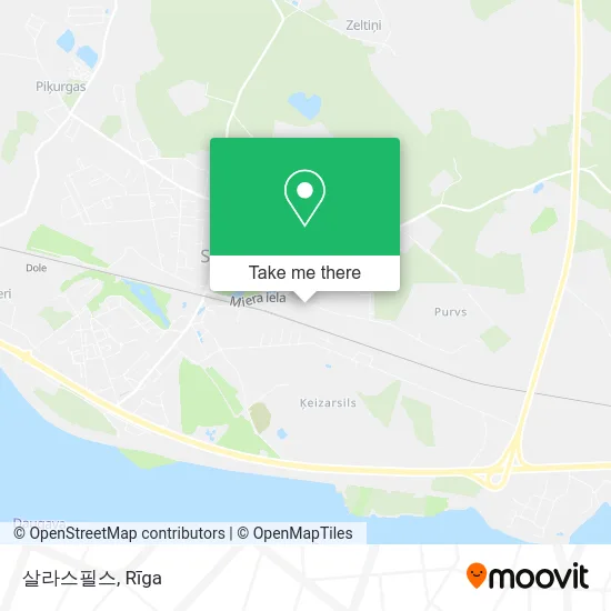 Карта 살라스필스