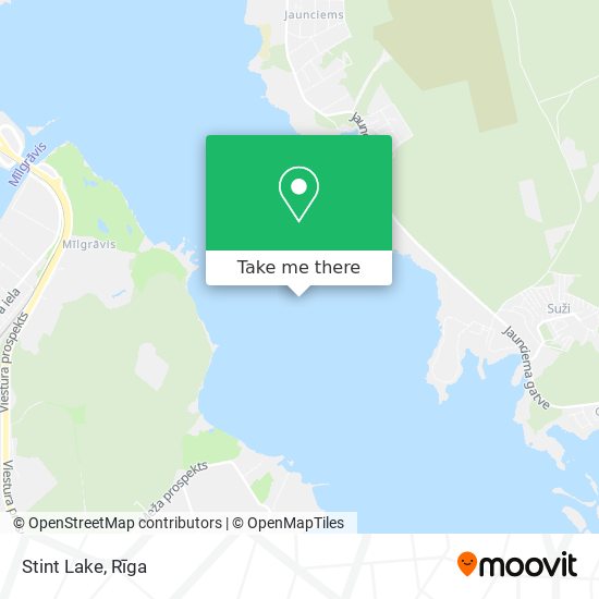 Stint Lake map